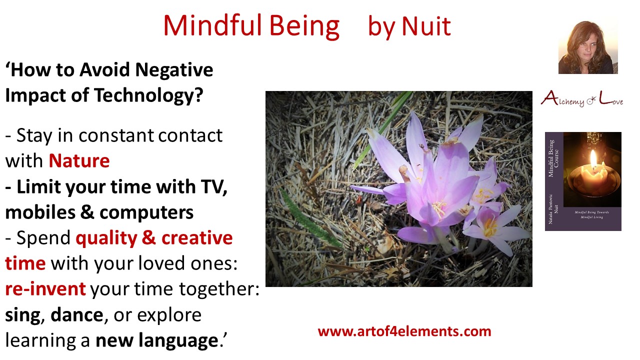 Negative effect of technology quote from Mindful Being by Nuit