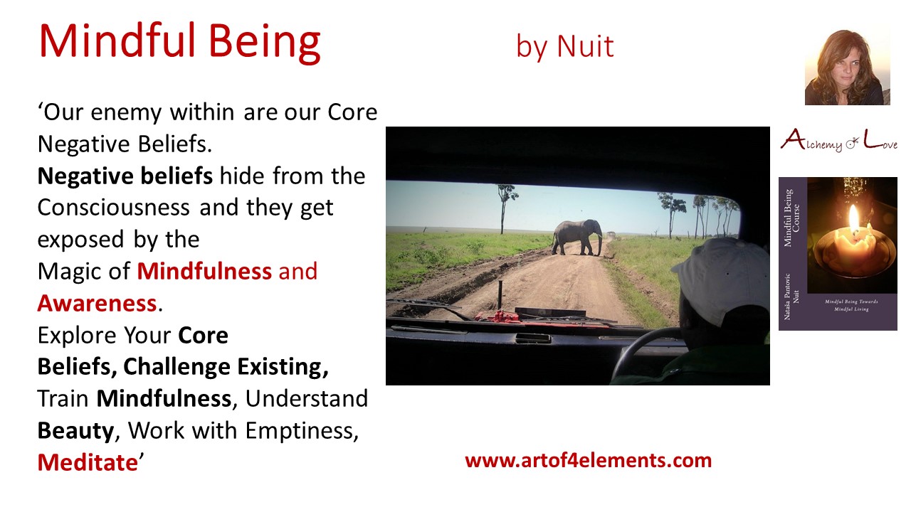 Alchemy of love courses quote about core beliefs by Natasa Pantovic Nuit