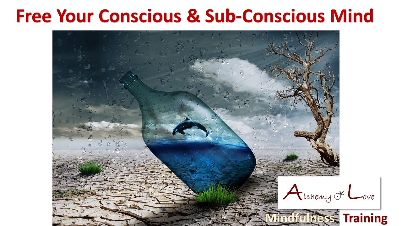 Conscious subconscious mind powers free your mind mindfulness training