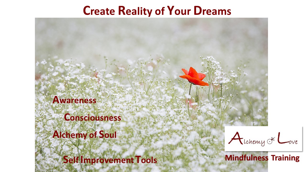 Consciousness Reality of Your Dreams Mindfulness Training