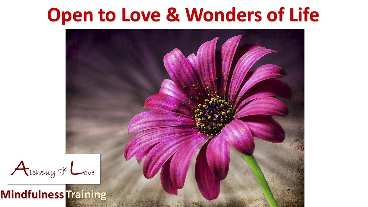 what is unconditional love: open to love