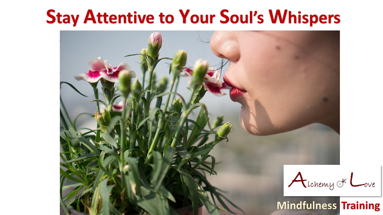 soul whisper mindfulness training alchemy of love quote from Mindful Being by Nuit