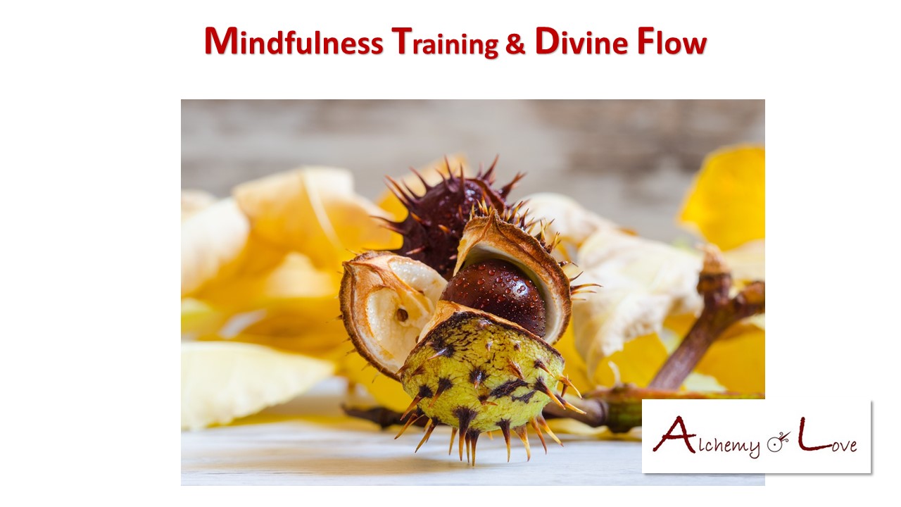 Yoga Meditation Mindfulness Training and Divine Flow