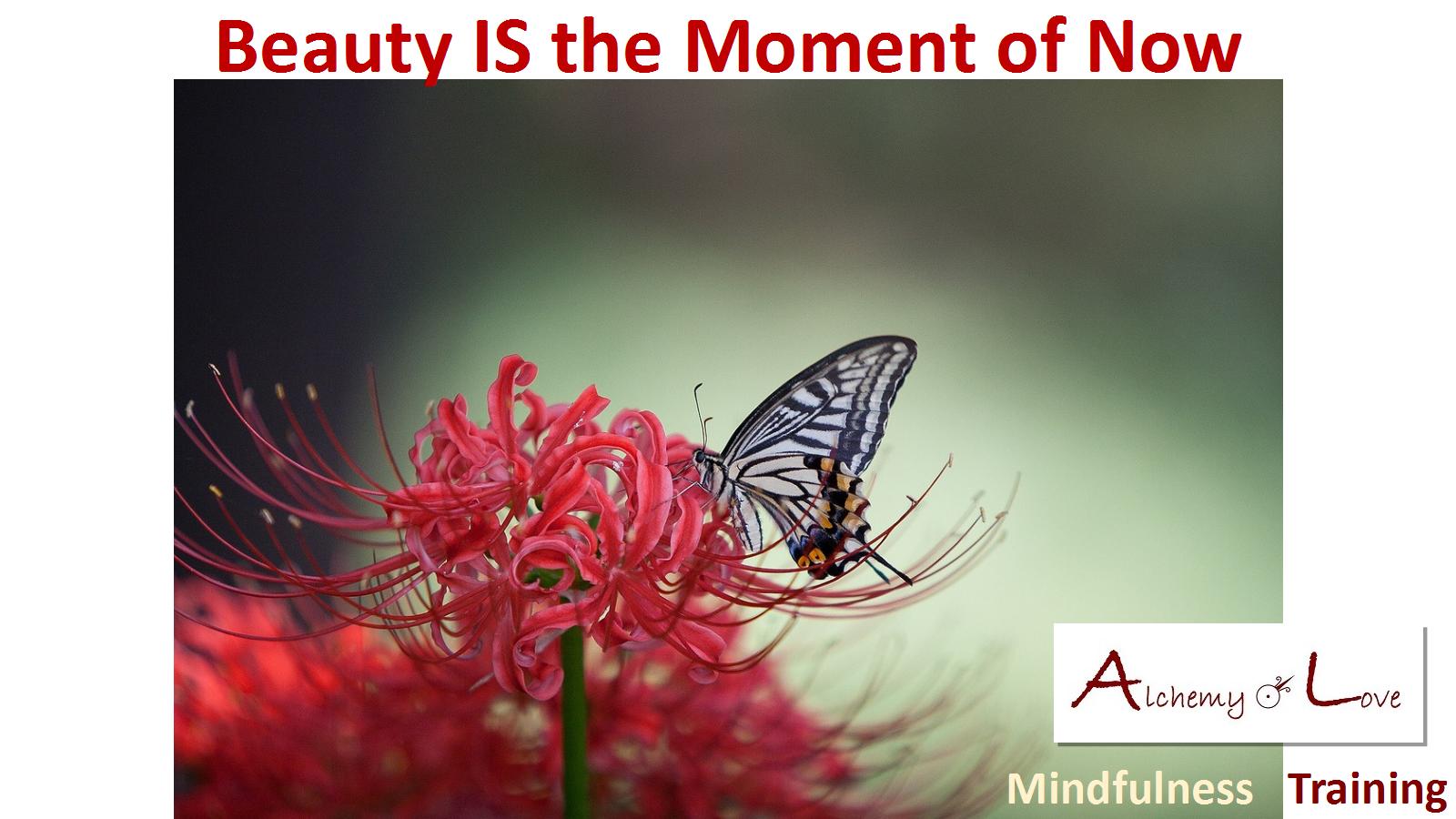 Beauty is the moment of now