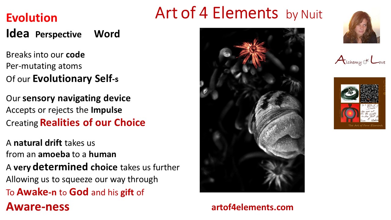 Art of 4 elements spiritual poem by Natasa Pantovic Nuit about Spiritual Evolution