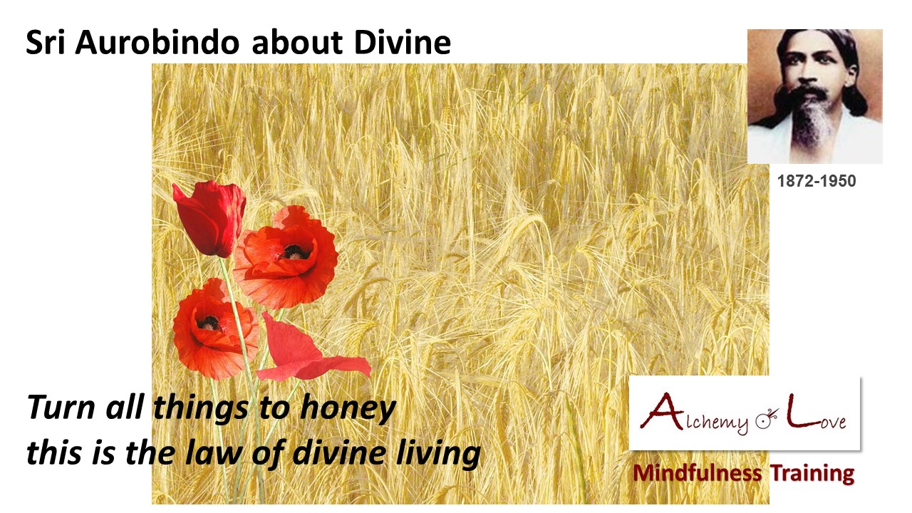 Spiritual Poetry Aurobindo turn all things to honey this is the law of divine living