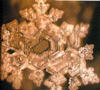 mindful eating articles: water quality and water crystals