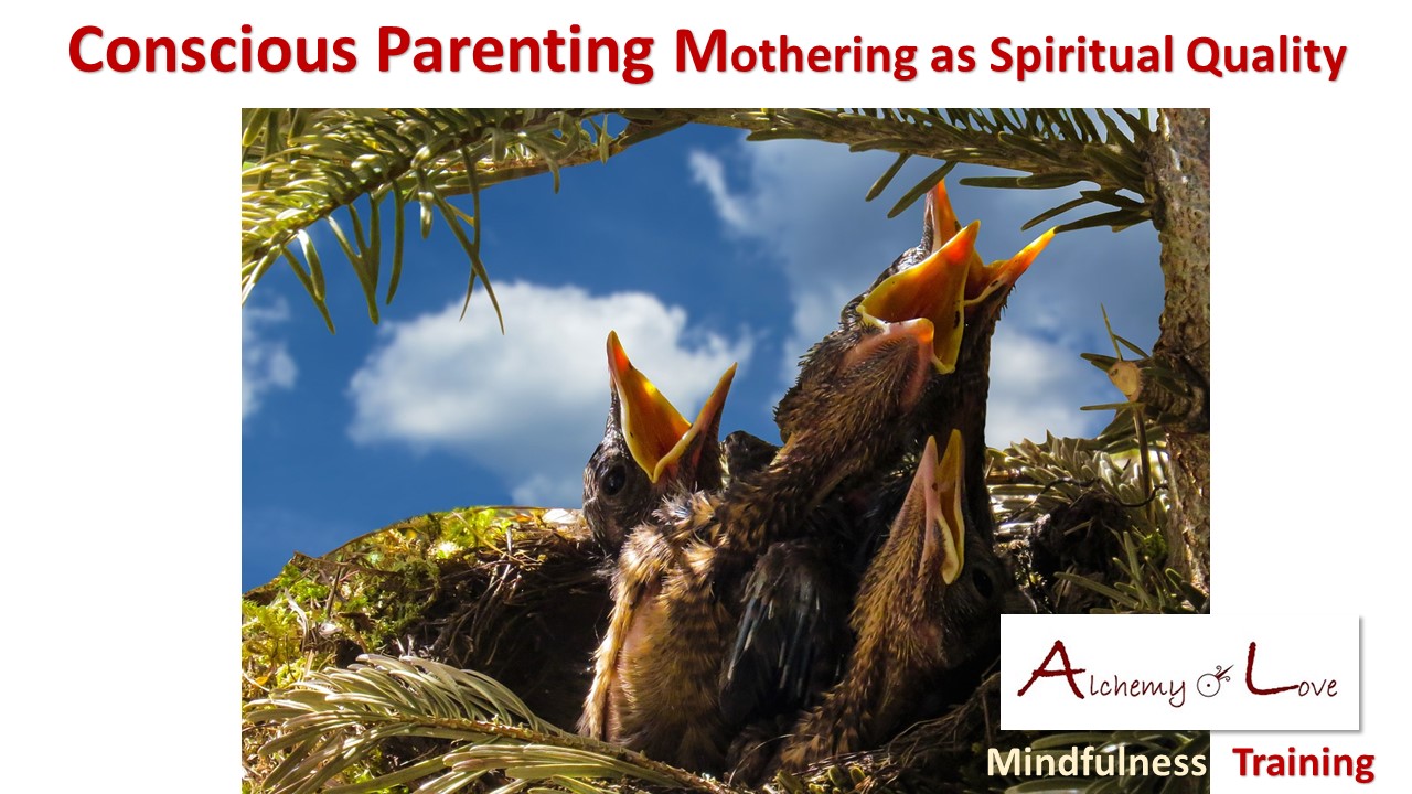 Conscious Parenting Mothering Alchemy of Love Mindfulness Training