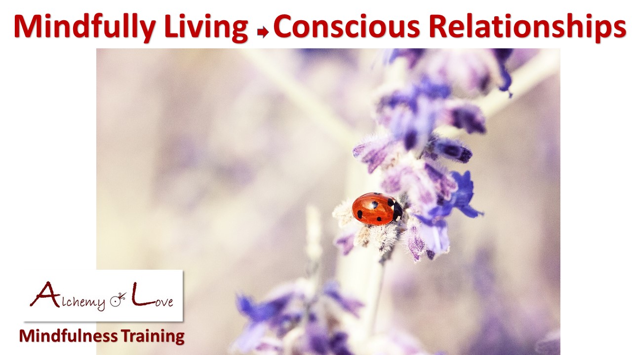 mindfulness training books interview: conscious relationships
