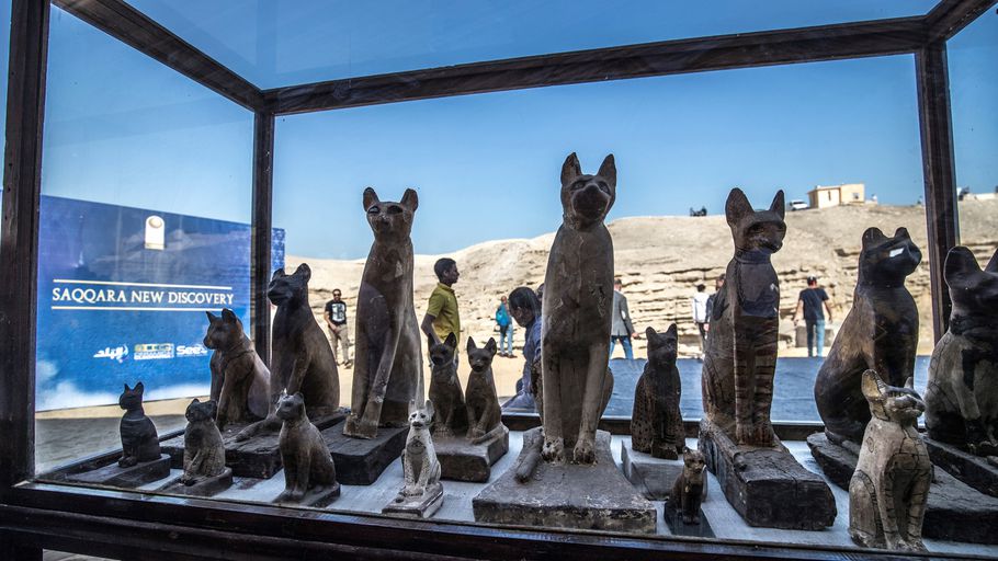 Statuettes of cats exhibited at Saqqarah after the announcement of a new archaeological discovery on November 23 2019