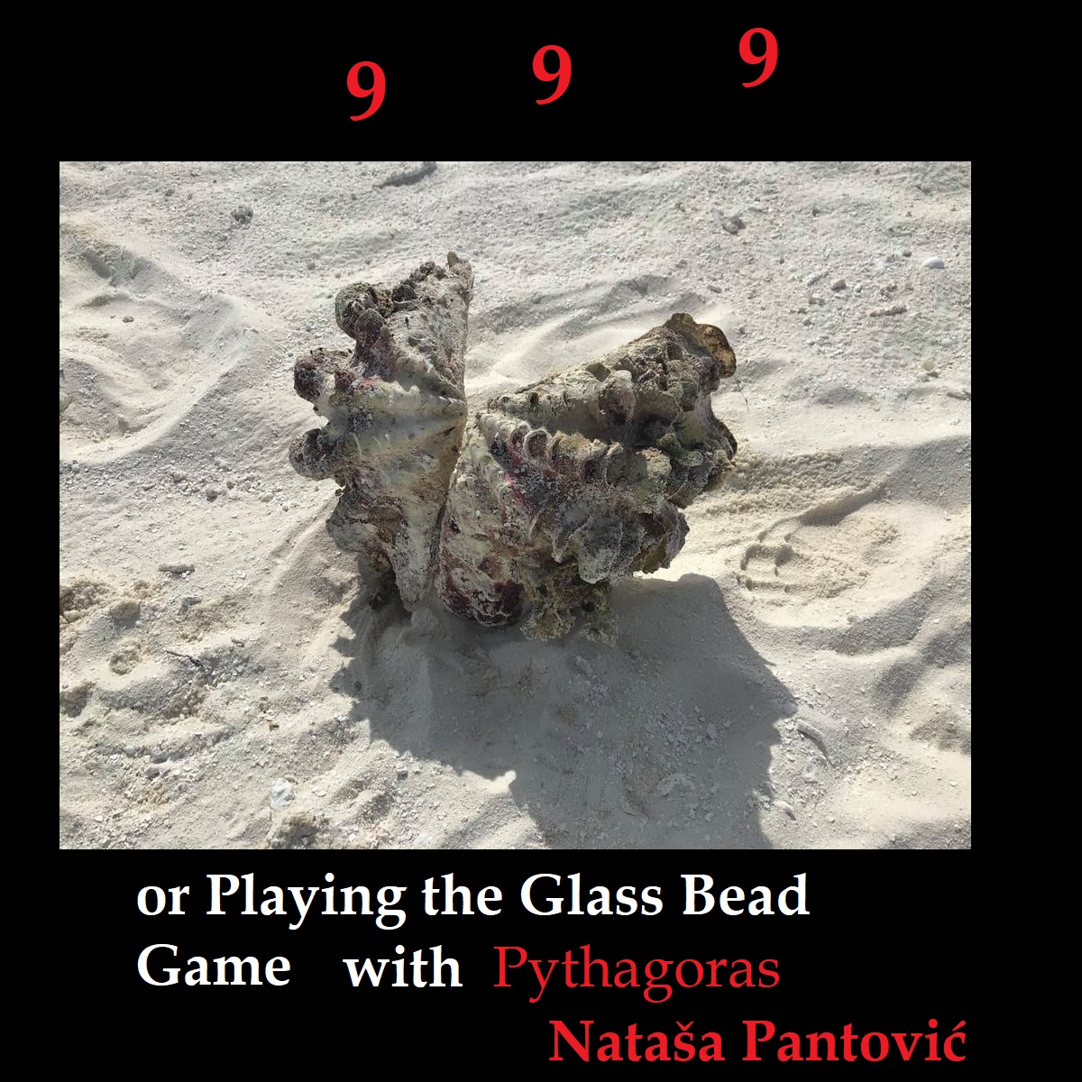 999 Playing the Glass Bead Game with Pythagoras by Natasa Pantovic hard cover with text high quality